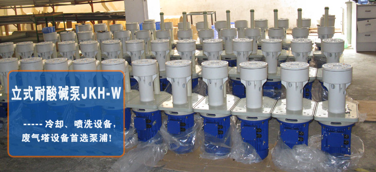 JKH-W 高压立式耐酸碱泵